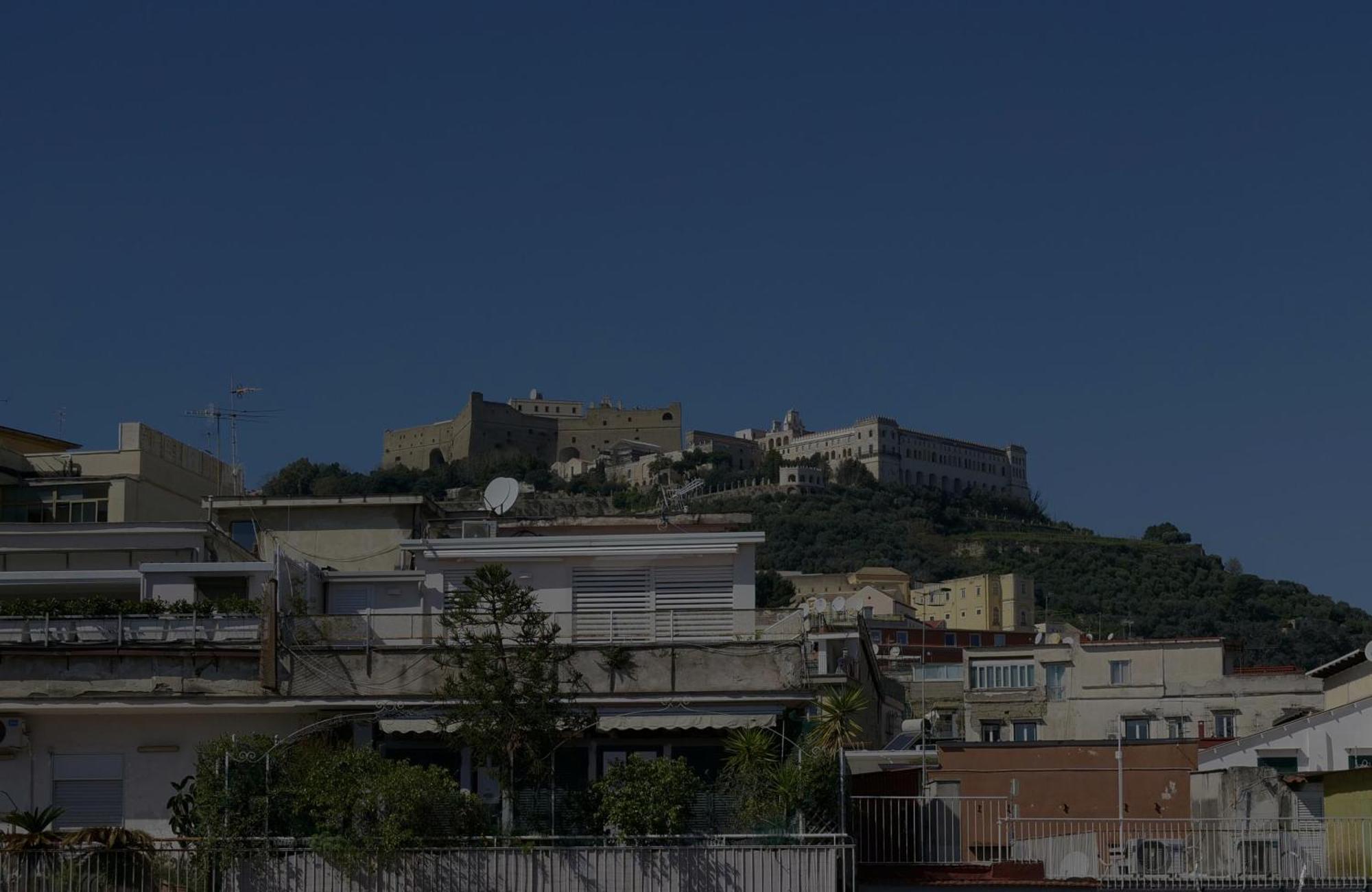 Lion * Naples